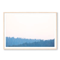 Carly Tabak Print GALLERY / Natural / MATTED Mendocino Redwoods Sunset