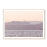 Carly Tabak Print GALLERY / Natural / MATTED Sunset Flight