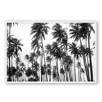 Carly Tabak Print GALLERY / White / FULL BLEED Palms on Palms