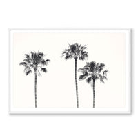 Carly Tabak Print GALLERY / White / MATTED Three Amigos