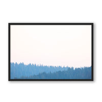 Carly Tabak Print Large / Black / FULL BLEED Mendocino Redwoods Sunset