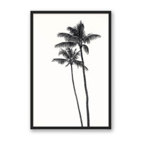 Carly Tabak Print Large / Black / FULL BLEED Palm Palms