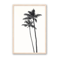 Carly Tabak Print Large / Natural / FULL BLEED Palm Palms