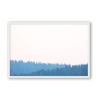 Carly Tabak Print Large / White / FULL BLEED Mendocino Redwoods Sunset