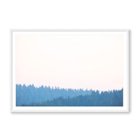Carly Tabak Print Large / White / MATTED Mendocino Redwoods Sunset