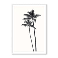 Carly Tabak Print Large / White / MATTED Palm Palms