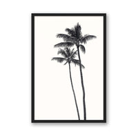 Carly Tabak Print MEDIUM / Black / FULL BLEED Palm Palms