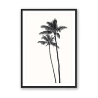 Carly Tabak Print MEDIUM / Black / MATTED Palm Palms