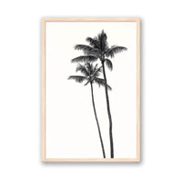 Carly Tabak Print MEDIUM / Natural / FULL BLEED Palm Palms