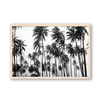 Carly Tabak Print MEDIUM / Natural / FULL BLEED Palms on Palms