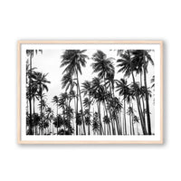 Carly Tabak Print MEDIUM / Natural / MATTED Palms on Palms