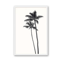 Carly Tabak Print MEDIUM / White / FULL BLEED Palm Palms