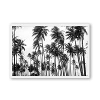 Carly Tabak Print MEDIUM / White / FULL BLEED Palms on Palms