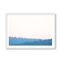 Carly Tabak Print MEDIUM / White / MATTED Mendocino Redwoods Sunset
