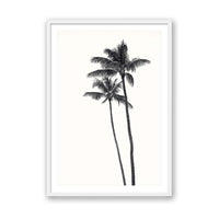 Carly Tabak Print MEDIUM / White / MATTED Palm Palms