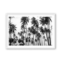 Carly Tabak Print MEDIUM / White / MATTED Palms on Palms