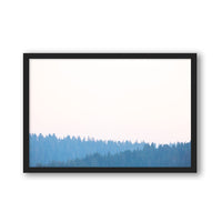 Carly Tabak Print SMALL / Black / FULL BLEED Mendocino Redwoods Sunset
