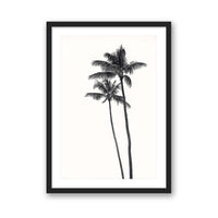 Carly Tabak Print SMALL / Black / MATTED Palm Palms