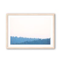 Carly Tabak Print SMALL / Natural / MATTED Mendocino Redwoods Sunset