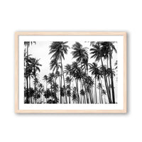 Carly Tabak Print SMALL / Natural / MATTED Palms on Palms