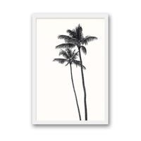 Carly Tabak Print SMALL / White / FULL BLEED Palm Palms