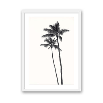 Carly Tabak Print SMALL / White / MATTED Palm Palms