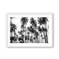 Carly Tabak Print SMALL / White / MATTED Palms on Palms
