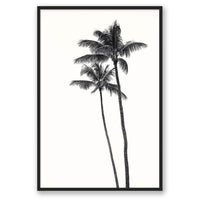 Carly Tabak Print STATEMENT / Black / FULL BLEED Palm Palms