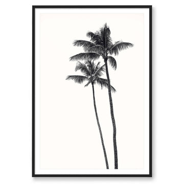 Carly Tabak Print STATEMENT / Black / MATTED Palm Palms
