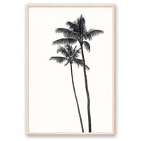 Carly Tabak Print STATEMENT / Natural / FULL BLEED Palm Palms