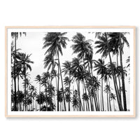 Carly Tabak Print STATEMENT / Natural / MATTED Palms on Palms