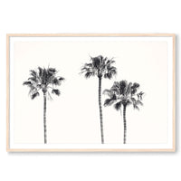 Carly Tabak Print STATEMENT / Natural / MATTED Three Amigos