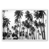 Carly Tabak Print STATEMENT / White / FULL BLEED Palms on Palms