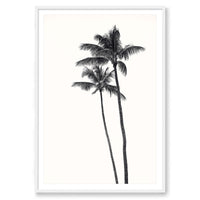 Carly Tabak Print STATEMENT / White / MATTED Palm Palms