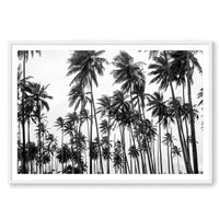 Carly Tabak Print STATEMENT / White / MATTED Palms on Palms