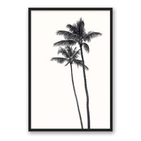 Carly Tabak Print X-LARGE / Black / FULL BLEED Palm Palms