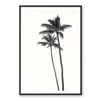 Carly Tabak Print X-LARGE / Black / MATTED Palm Palms