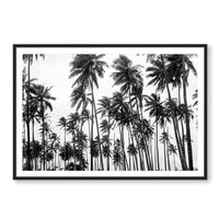 Carly Tabak Print X-LARGE / Black / MATTED Palms on Palms