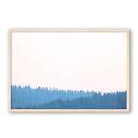 Carly Tabak Print X-LARGE / Natural / FULL BLEED Mendocino Redwoods Sunset