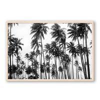Carly Tabak Print X-LARGE / Natural / FULL BLEED Palms on Palms