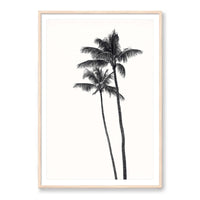 Carly Tabak Print X-LARGE / Natural / MATTED Palm Palms