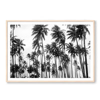 Carly Tabak Print X-LARGE / Natural / MATTED Palms on Palms