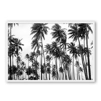 Carly Tabak Print X-LARGE / White / FULL BLEED Palms on Palms