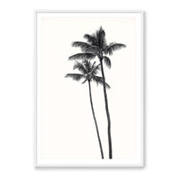 Carly Tabak Print X-LARGE / White / MATTED Palm Palms