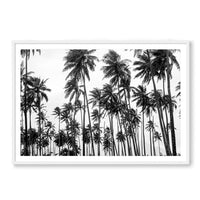 Carly Tabak Print X-LARGE / White / MATTED Palms on Palms