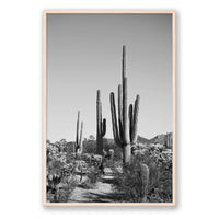 Jessica Wright Print GALLERY / Natural / FULL BLEED Southwest