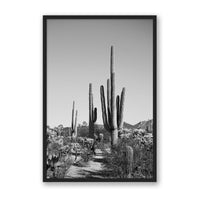 Jessica Wright Print Large / Black / FULL BLEED Southwest