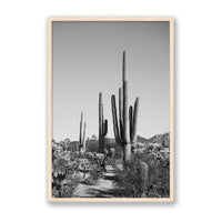 Jessica Wright Print Large / Natural / FULL BLEED Southwest