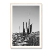 Jessica Wright Print Large / Natural / MATTED Southwest