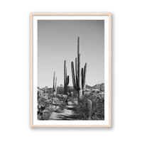 Jessica Wright Print MEDIUM / Natural / MATTED Southwest